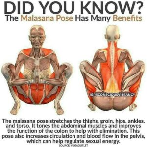 Yoga position 7